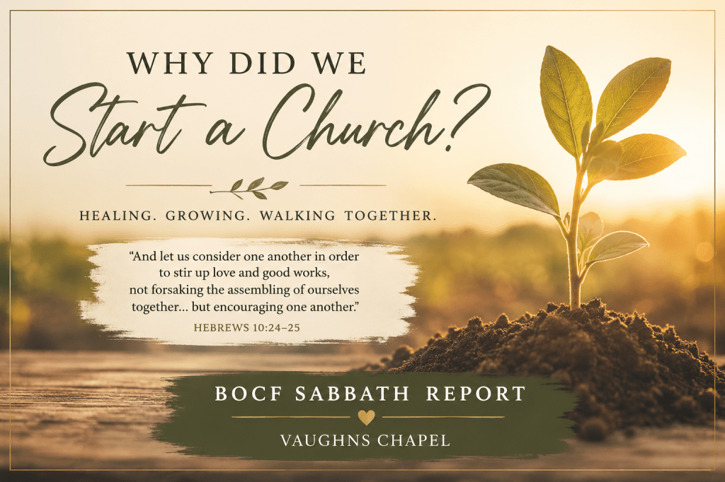 Why Did We Start a Church? A Call to Heal, Grow, and Walk Together